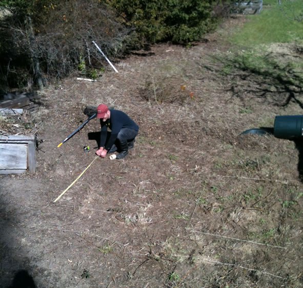 garden-plot-before