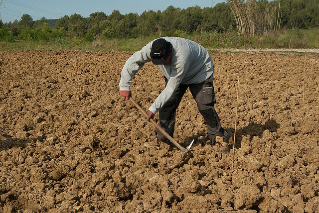 farmer-1367104_640