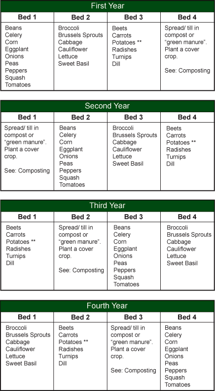 4-bed-4-year-rotation-plan