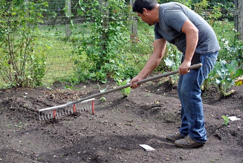 rake-with-hose-for-seed-spacing-1-themarthablog-dot-com