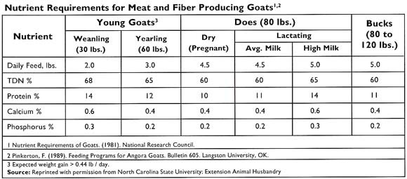 goat-nutritional-needs