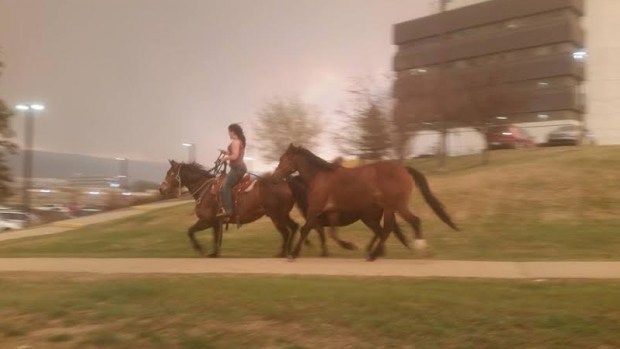 woman-on-horse-fleeing