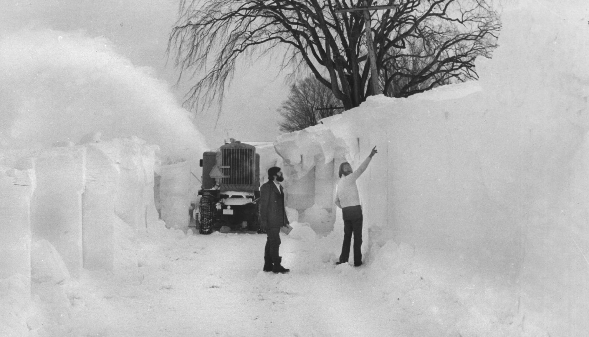 buffalo-blizzard