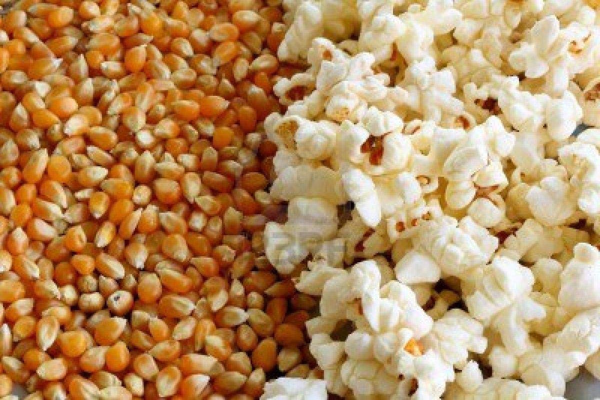 Aapkidukan Pop Corn Kernels(Dried Corn) 2 KG: Amazon.in: Grocery & Gourmet Foods