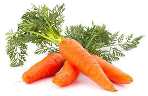 Carrots survival food