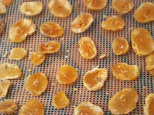 dehydrated_potatoes2