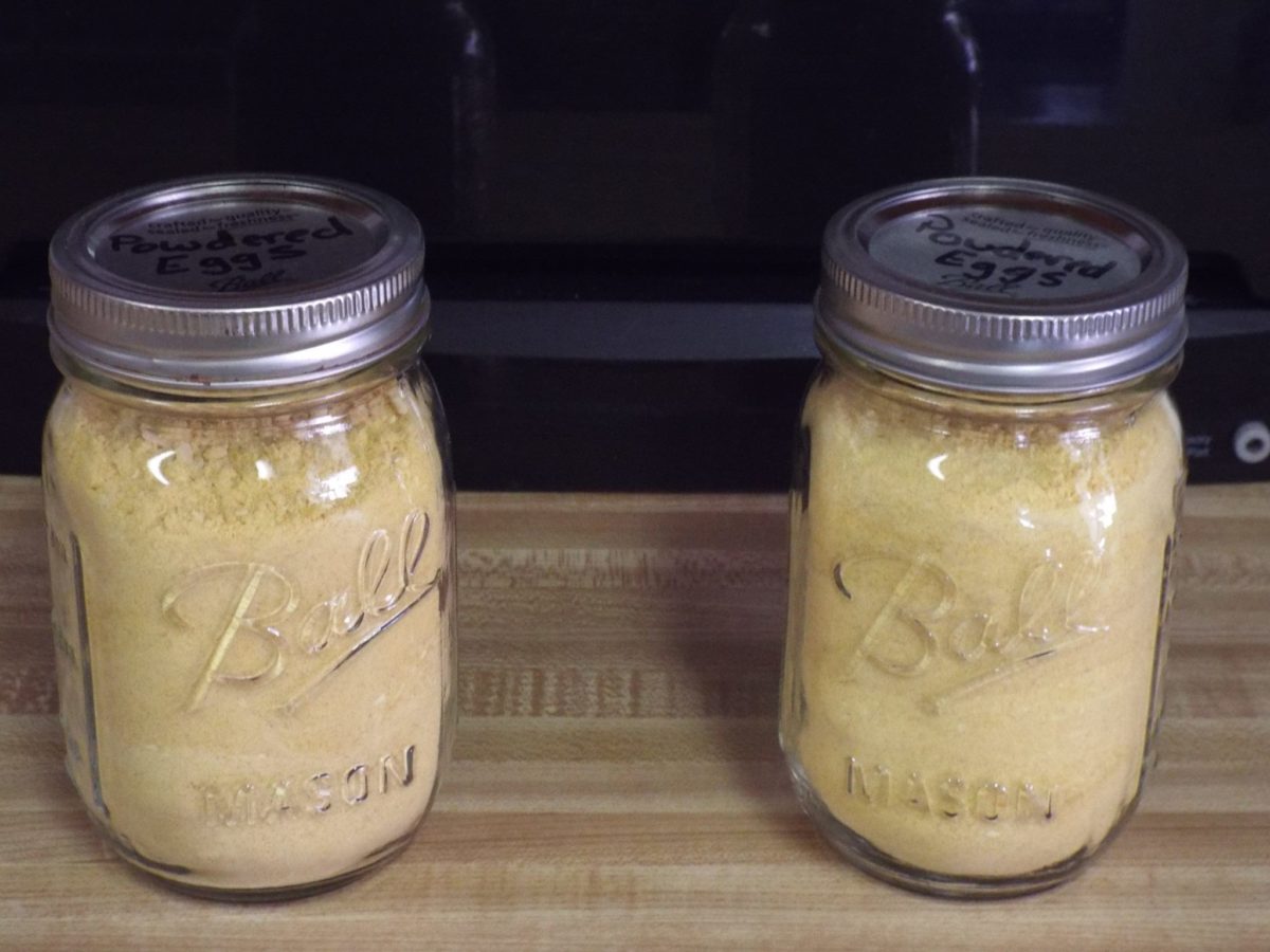 How to Make Powdered Eggs at Home Final Prepper